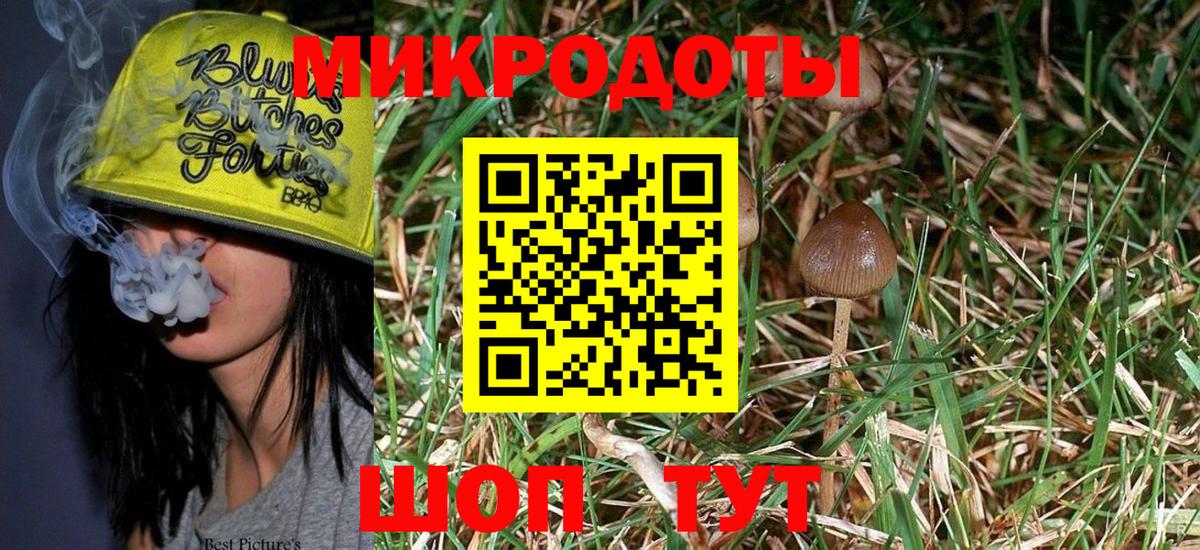 Надым  Псилоцибиновые грибы Psilocybine cubensis  Вход с VPN 