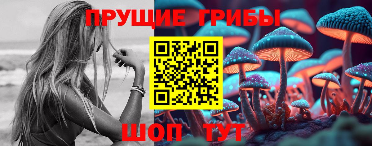 Галлюциногенные грибы Psilocybe Надым